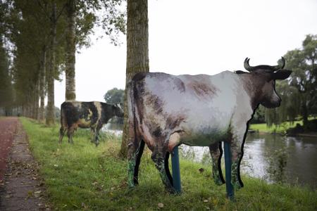 Meesters langs de Leie
