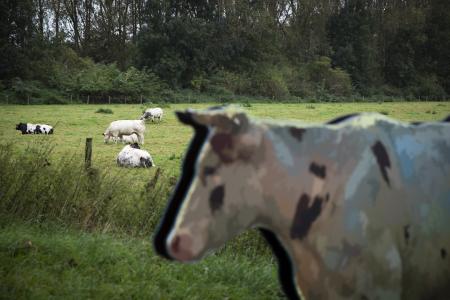 Meesters langs de Leie