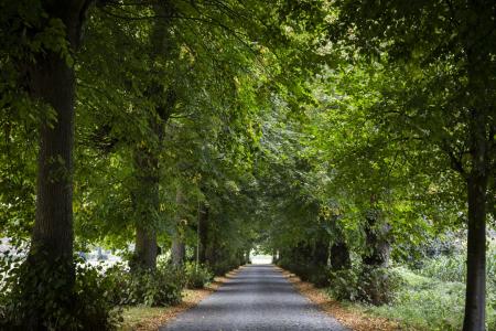 Meesters langs de Leie