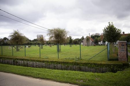 Meesters langs de Leie