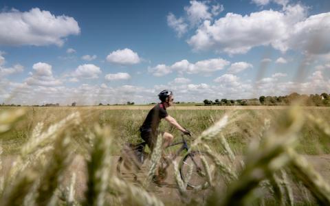 La Vélobuissonnière