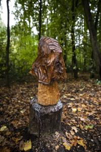 Ellen Van den Bouwhuisen