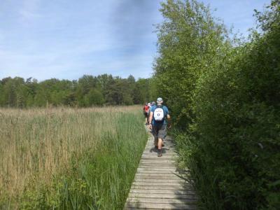 onderweg in de voormiddag