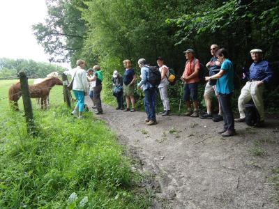 Wandeling Mont-Saint-Aubert