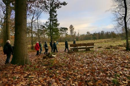 Het natuurreservaat Heidebos tussen Moerbeke en Wachtebeke