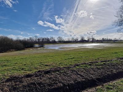 Mooi natuurgebied De Maatjes