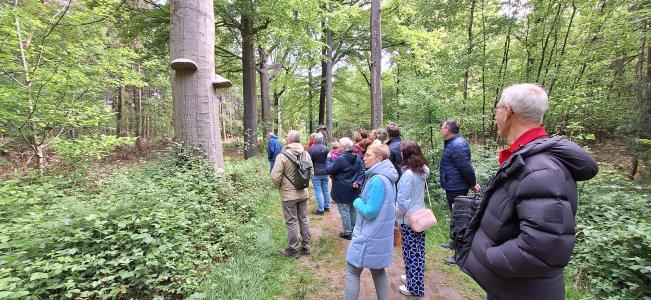 Natuurwandeling Vagevuurbos Wingene