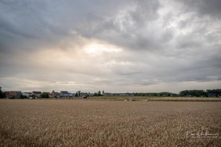 Hoeleden