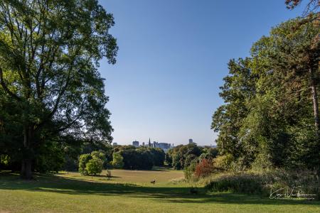 Dagwandeling Brussel