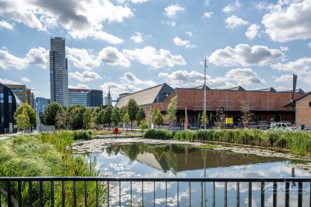 Dagwandeling Brussel