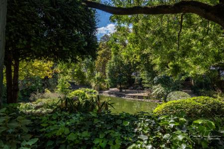 Dagwandeling Brussel