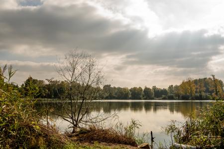 Wandelen door Troostembergbos