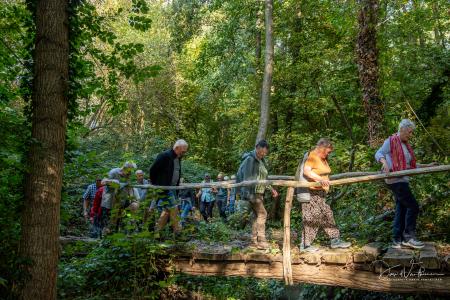 Wandelen door Troostembergbos