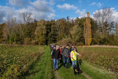 Herfstwandeling Glabbeek