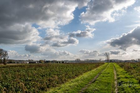 Herfstwandeling Glabbeek