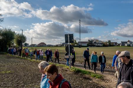 Herfstwandeling Glabbeek