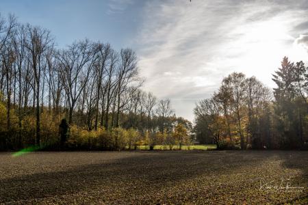 Herfstwandeling Glabbeek