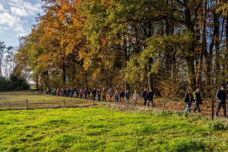 Herfstwandeling Glabbeek