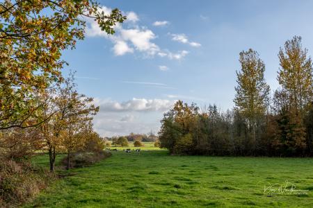 Herfstwandeling Glabbeek