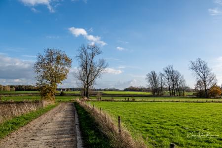 Herfstwandeling Glabbeek