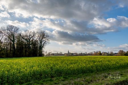 Herfstwandeling Glabbeek