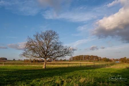 Herfstwandeling Glabbeek