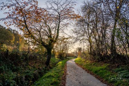 Herfstwandeling Glabbeek