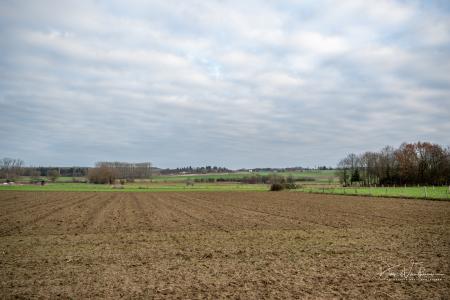 Ledenfeest Scherpenheuvel