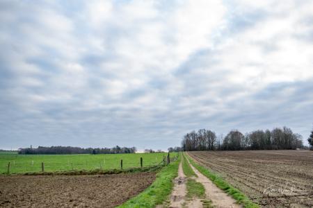 Ledenfeest Scherpenheuvel