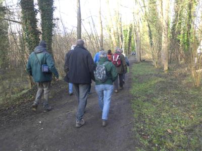 wandeling in Het Osbroek