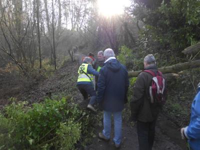 wandeling in Het Osbroek