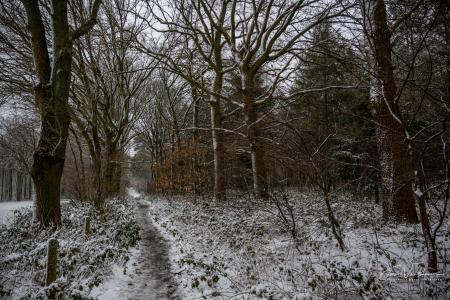 Winterwandeling Averbode