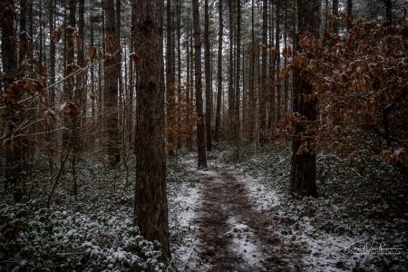 Winterwandeling Averbode