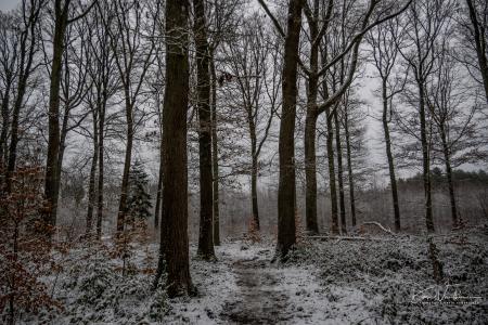 Winterwandeling Averbode
