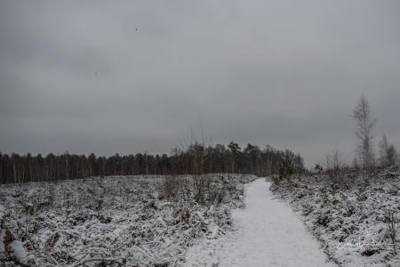 Winterwandeling Averbode