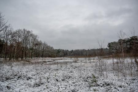 Winterwandeling Averbode
