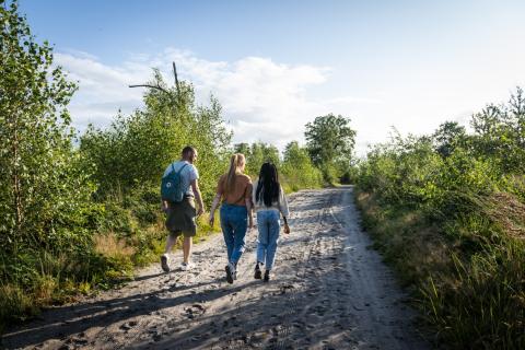 Kalmthoutse Heide