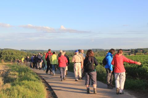 Pasar activiteit - Pasar Zomert in de Vlaamse Ardennen - Zwalm