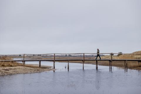 Terschelling