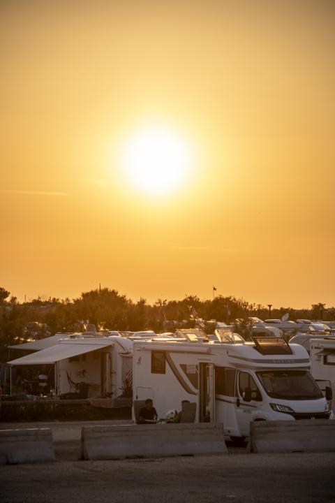 camargue