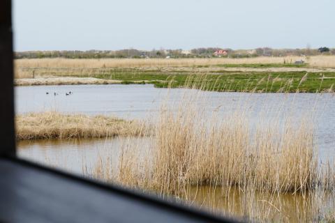 kijkhut uitkerkse polder