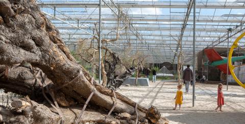 verbeke foundation