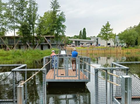 dommel