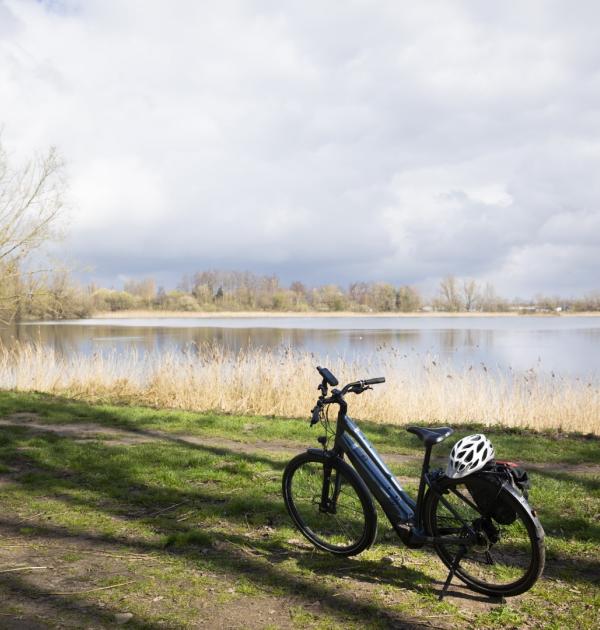 Brugs ommeland fietsen