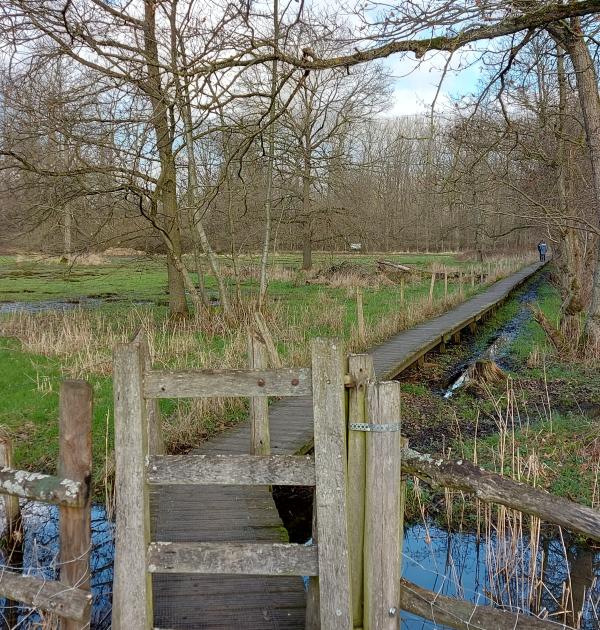 het Haachts Broek
