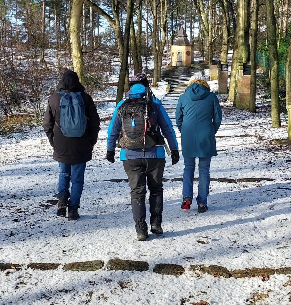 Wandeling Snepkensvijvers