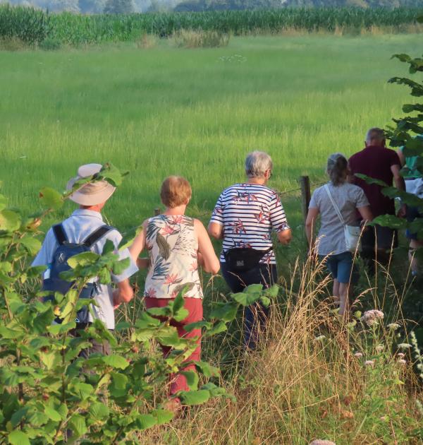 Wandelaars tijdens een avondwandeling van Pasar