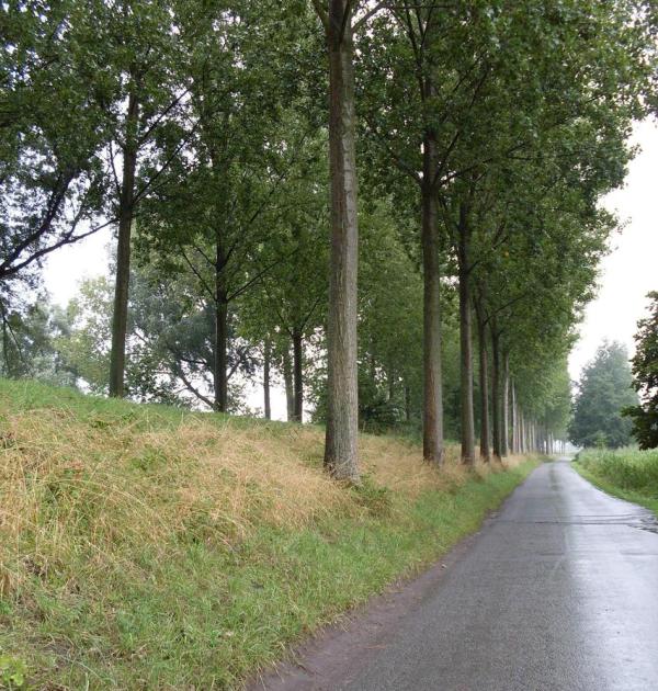 zicht op wandelweg langs de dijk