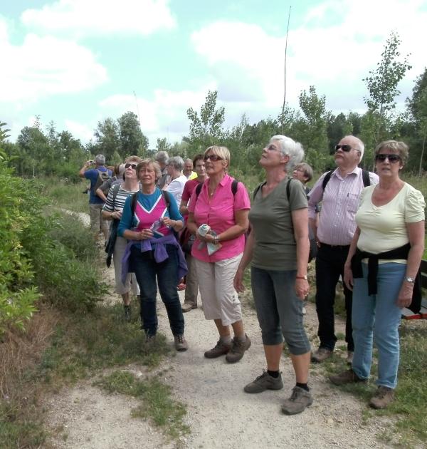 In de natuur van Zoutleeuw