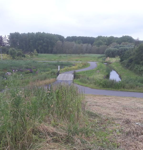 Vlassenbroekse polder